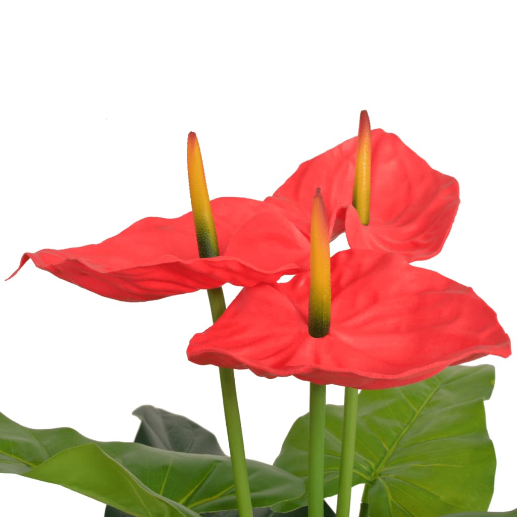 DekoLele.ch