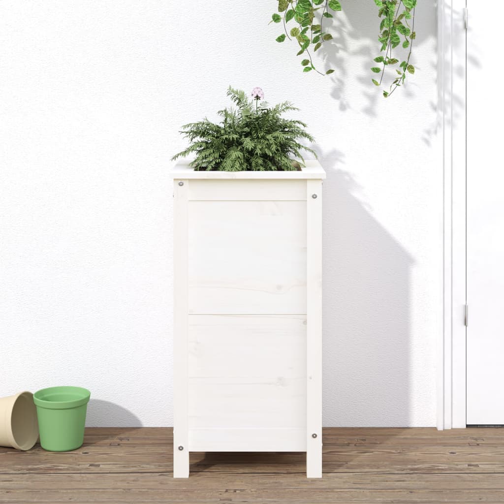 DekoLele.ch
