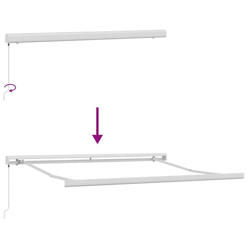 Markise Manuell Braun 300x250 cm