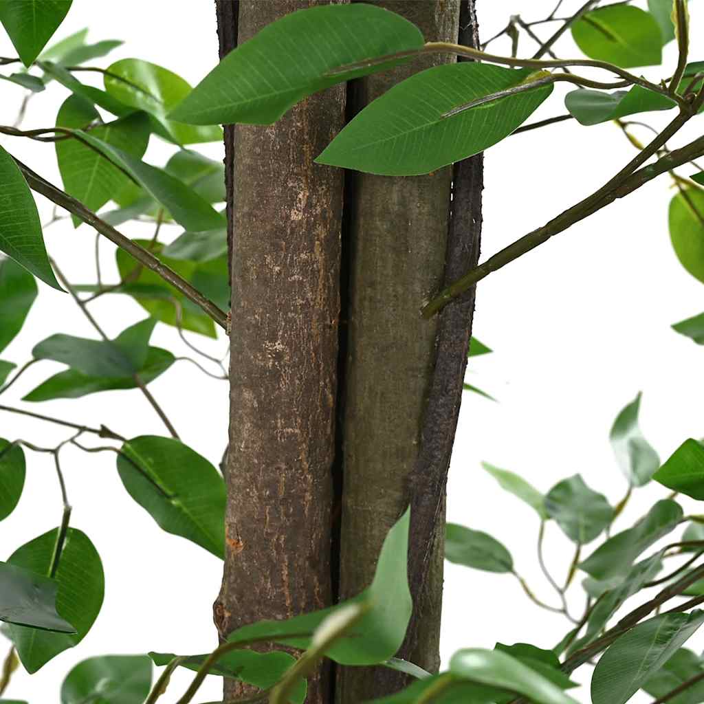 DekoLele.ch