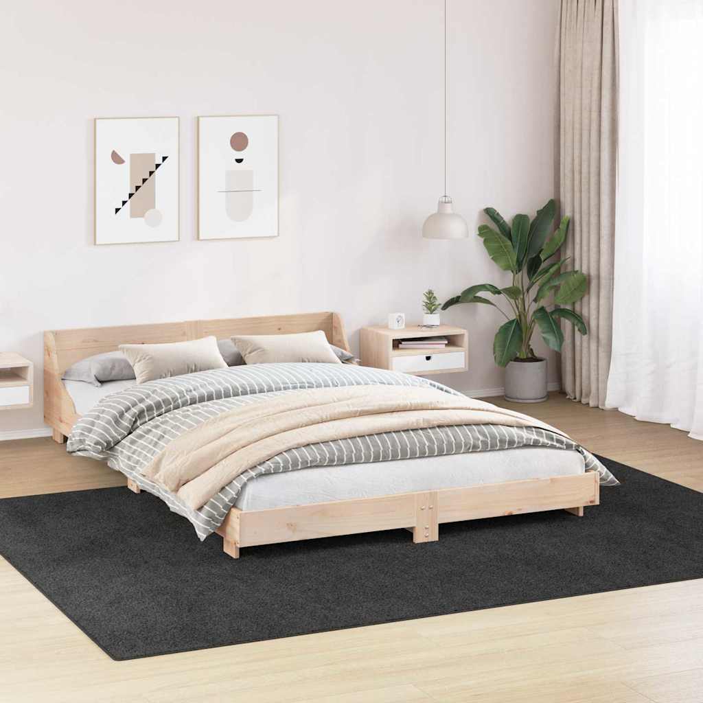 DekoLele.ch