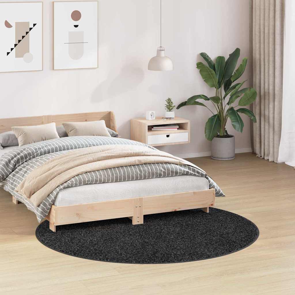 DekoLele.ch