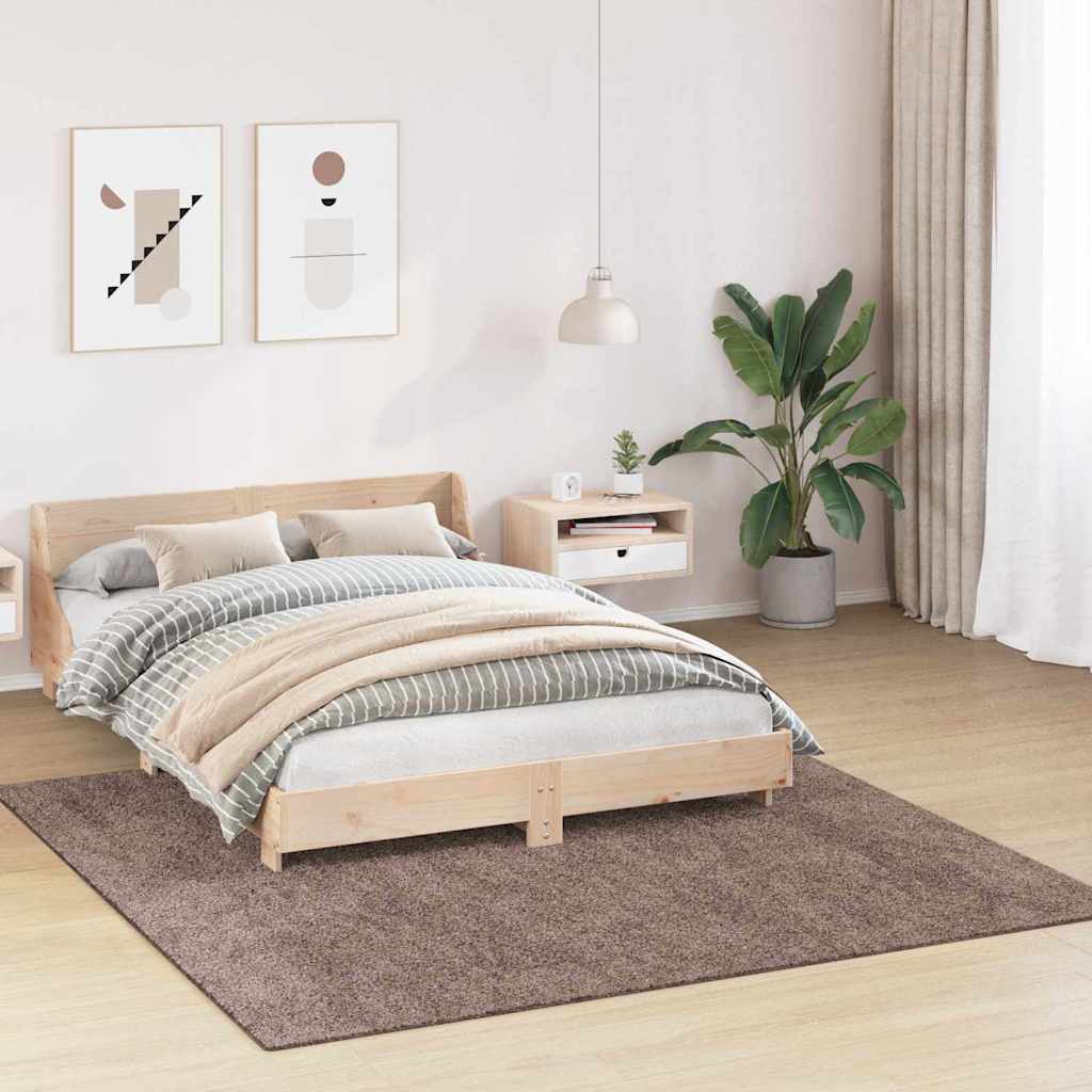 DekoLele.ch