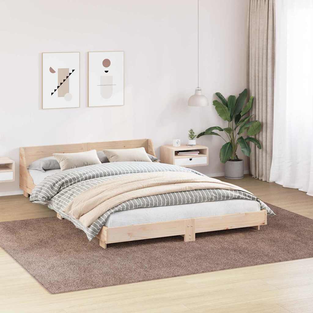 DekoLele.ch