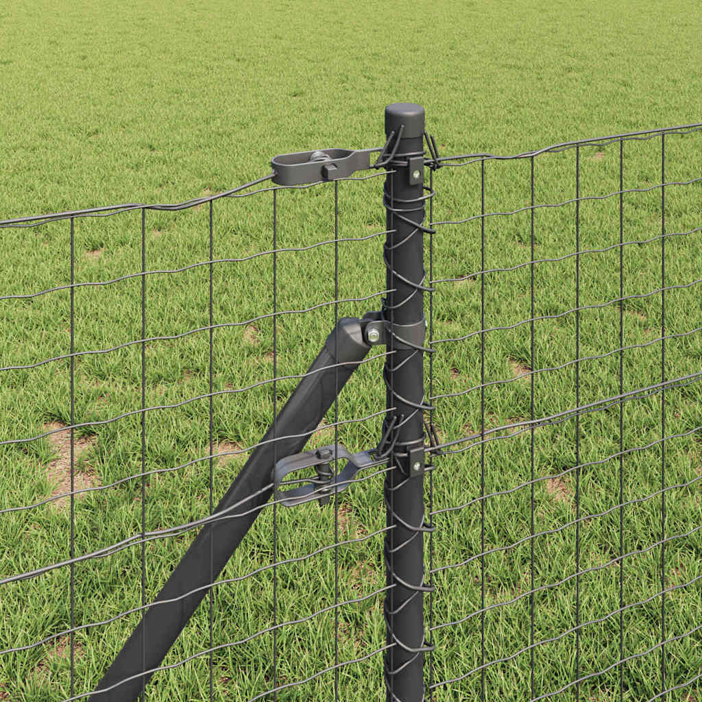 DekoLele.ch