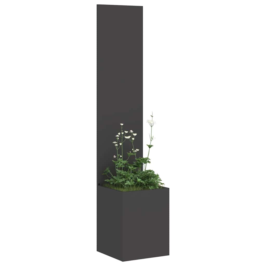 DekoLele.ch