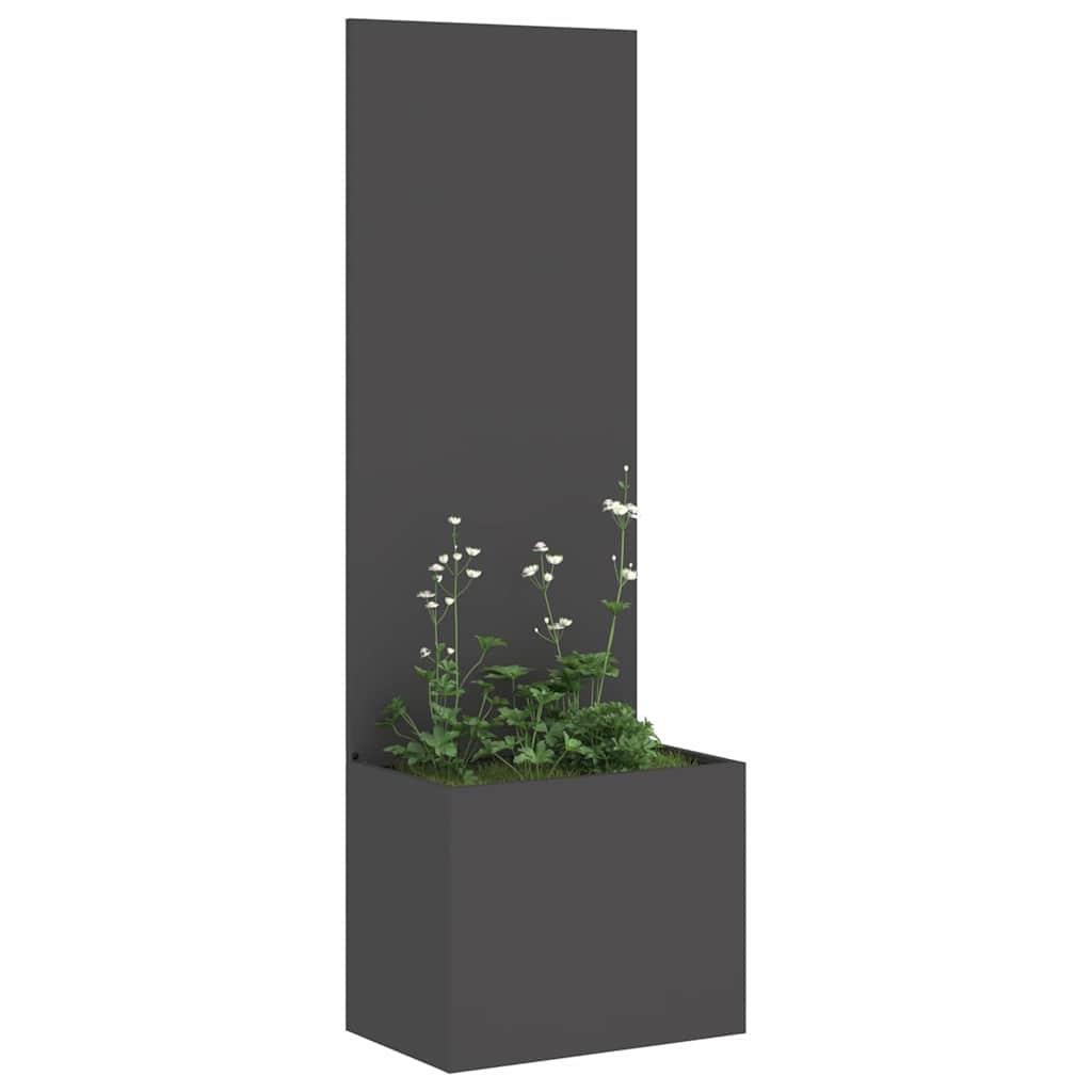 DekoLele.ch