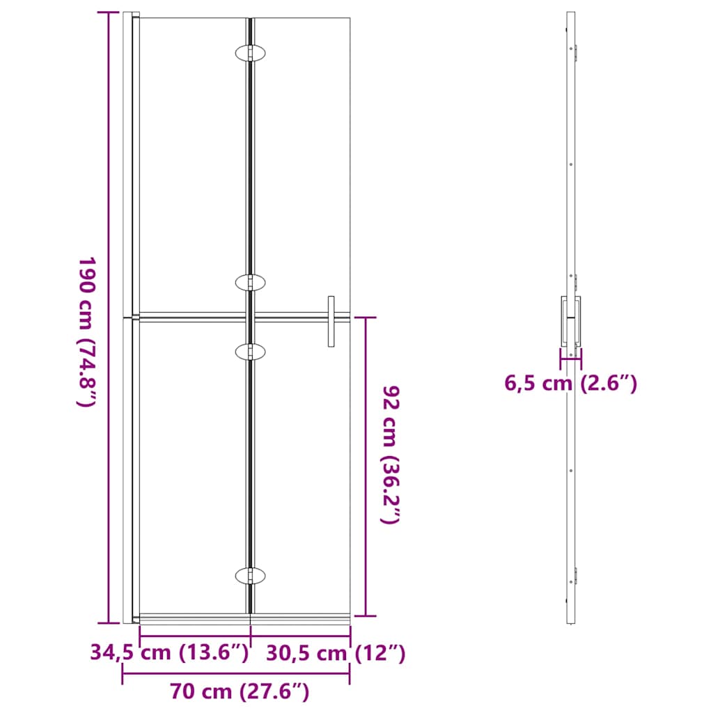 Walk-in Duschwand Schwarz 70 x 6.5 x 190 cm